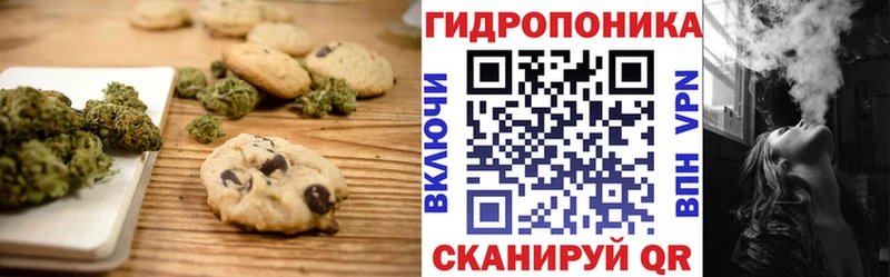 продажа наркотиков  Щёлково  мега онион  Печенье с ТГК марихуана 