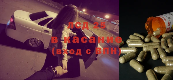 прущие грибы Каменск-Шахтинский