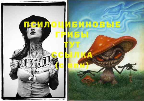 мефедрон Каменногорск