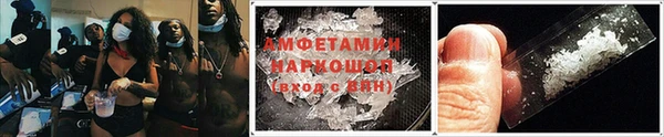 прущие грибы Каменск-Шахтинский