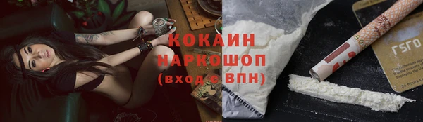 прущие грибы Каменск-Шахтинский
