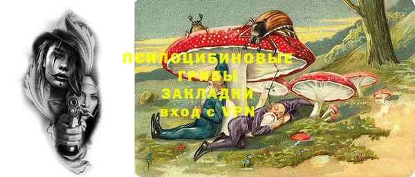 прущие грибы Каменск-Шахтинский