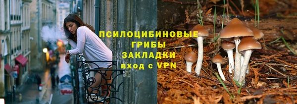 а пвп мука Каменка