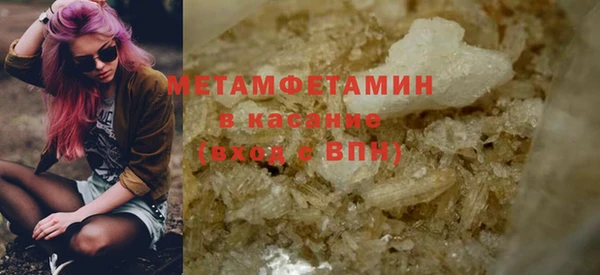 прущие грибы Каменск-Шахтинский