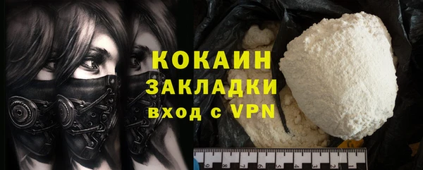 прущие грибы Каменск-Шахтинский